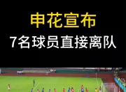 极速电竞-转会期上海申花调整名单以备NBA季后赛，刷新队史纪录环节打磨，目标明确，细节决定成败的简单介绍